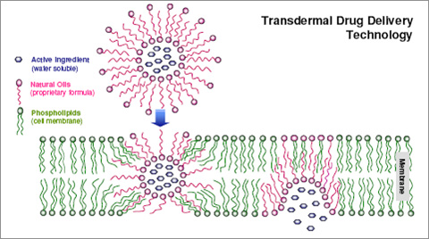 Transdermal Drug Delivery Technology